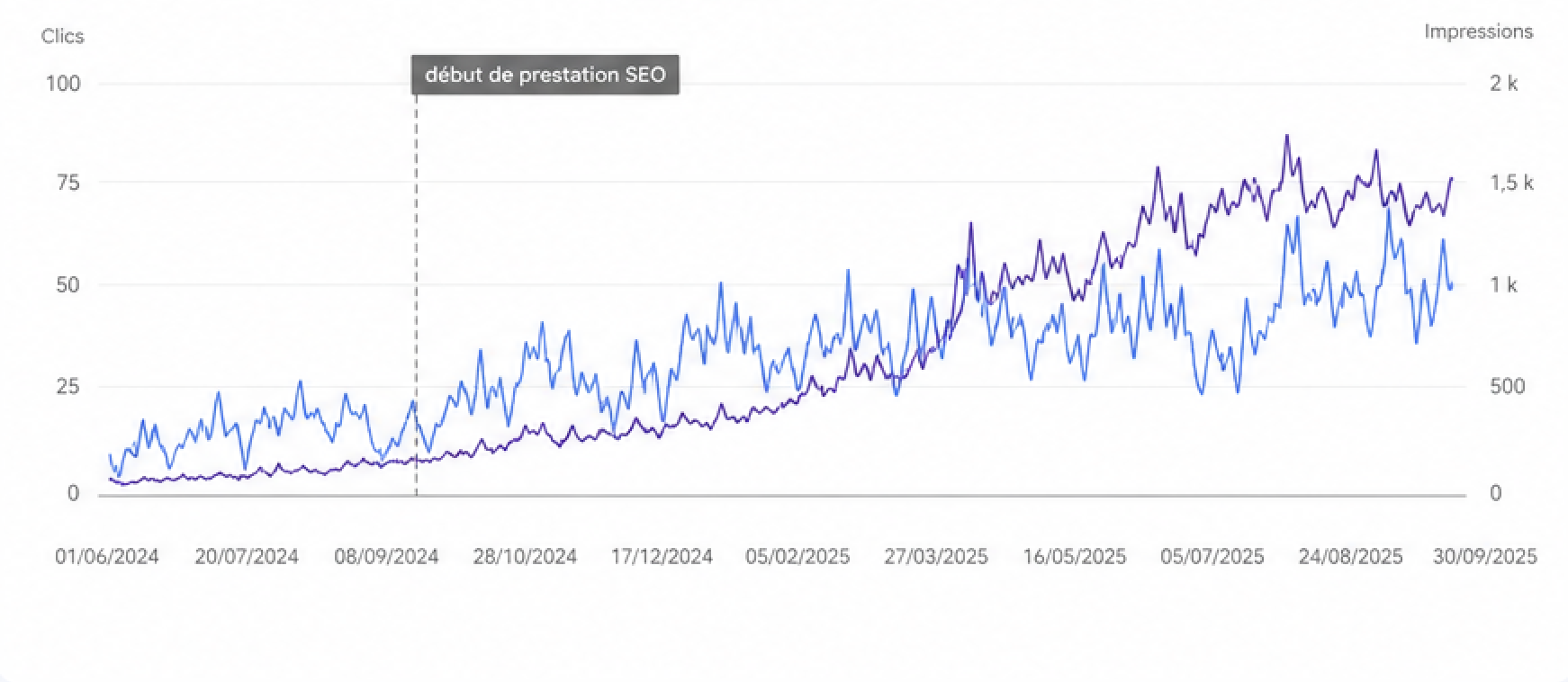 Évolution clics et impressions Google Search Console — secteur jardin